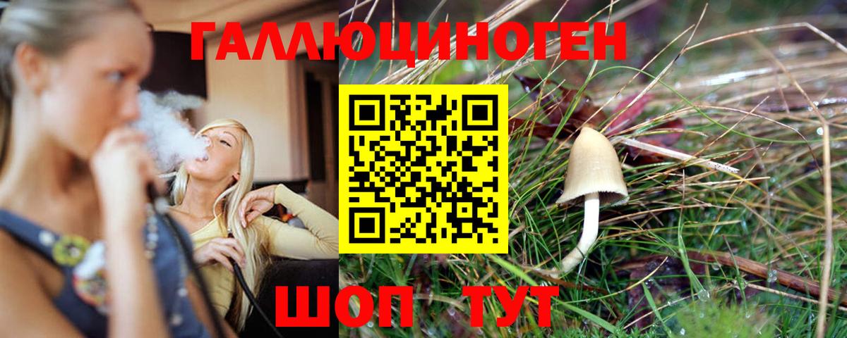 Псилоцибиновые грибы Psilocybine cubensis  Вход с VPN  где найти   Элиста 