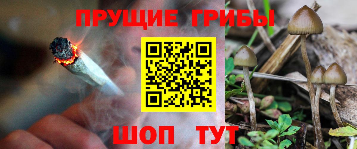 Галлюциногенные грибы MAGIC MUSHROOMS Элиста
